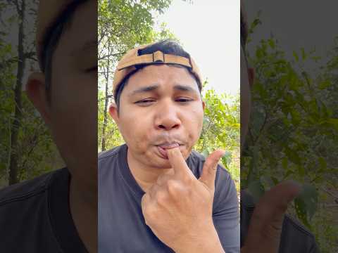 Survival skills - Useful and Clever in The Forest