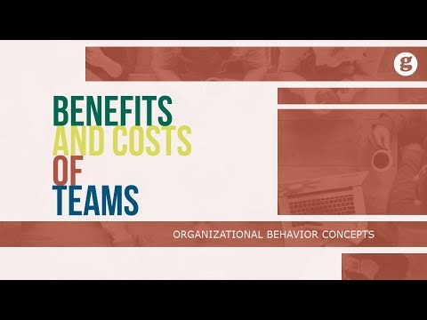 What is Organizational Behavior