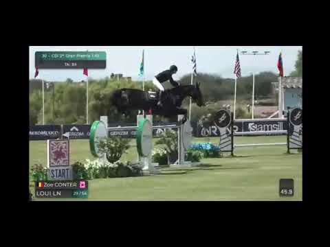 SX - Loui LN - 145cm - Otomi