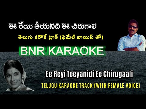 Ee Reyi Teeyanidi  Karaoke With Female Voice | Chitti Chellelu 1970 | S Rajeswara Rao | SiNaRe |