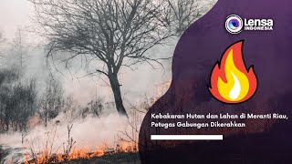 Download lagu Kebakaran Hutan dan Lahan di Meranti Riau, Petugas Gabungan Dikerahkan mp3