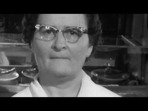 John Lewis: Good Trouble -  Sit-in Clip