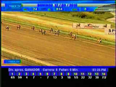 Resumen Domingo, 12 de Septiembre de 2010 - La Rinconada