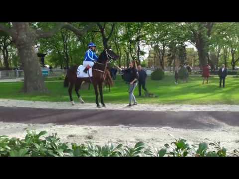 Kincsem Park - Hùsvèti Hendikep