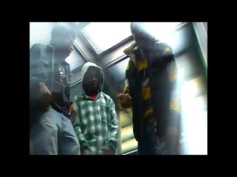 HARLEM - " STUPID NUMBERS " FT. QUON AND ROMI ROME