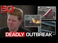 The Devastating Impact Of Foot And Mouth Disease 60 Minutes Australia