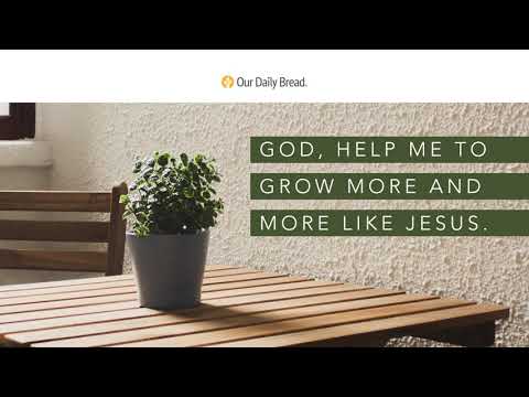 The Jesus Chair | Audio Reading | Our Daily Bread Devotional | June 16, 2021