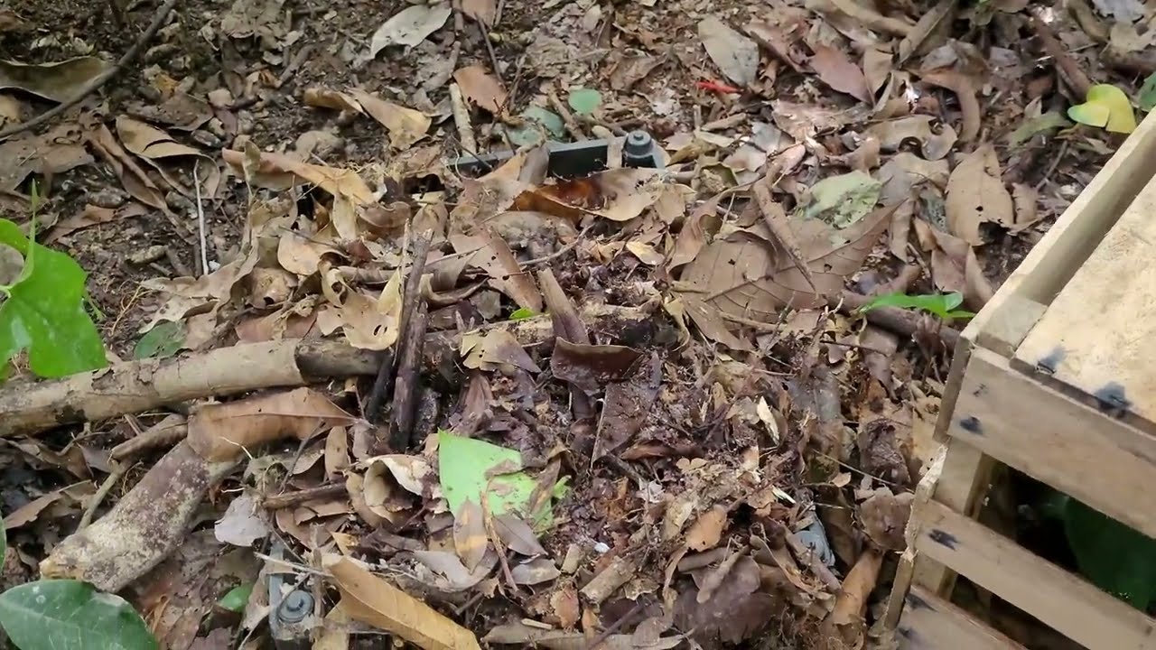 Como Preparar os Microrganismos Eficientes (EM), Principal Ingrediente do Bokashi.