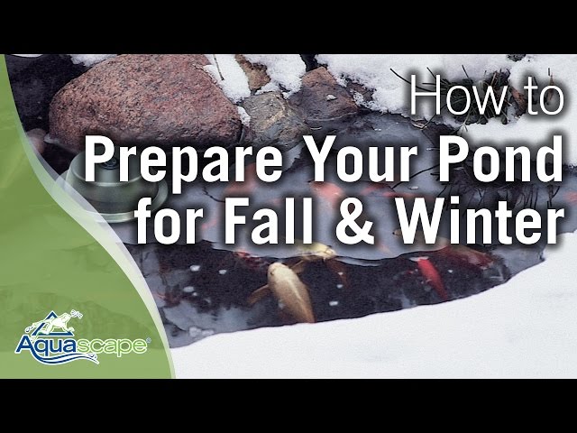 Aquascape's How To Prepare Your Pond for Fall and Winter