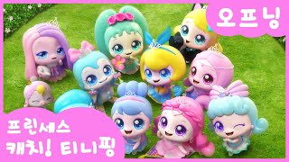 Cover art for pirncesss catch teenieping-hard mode