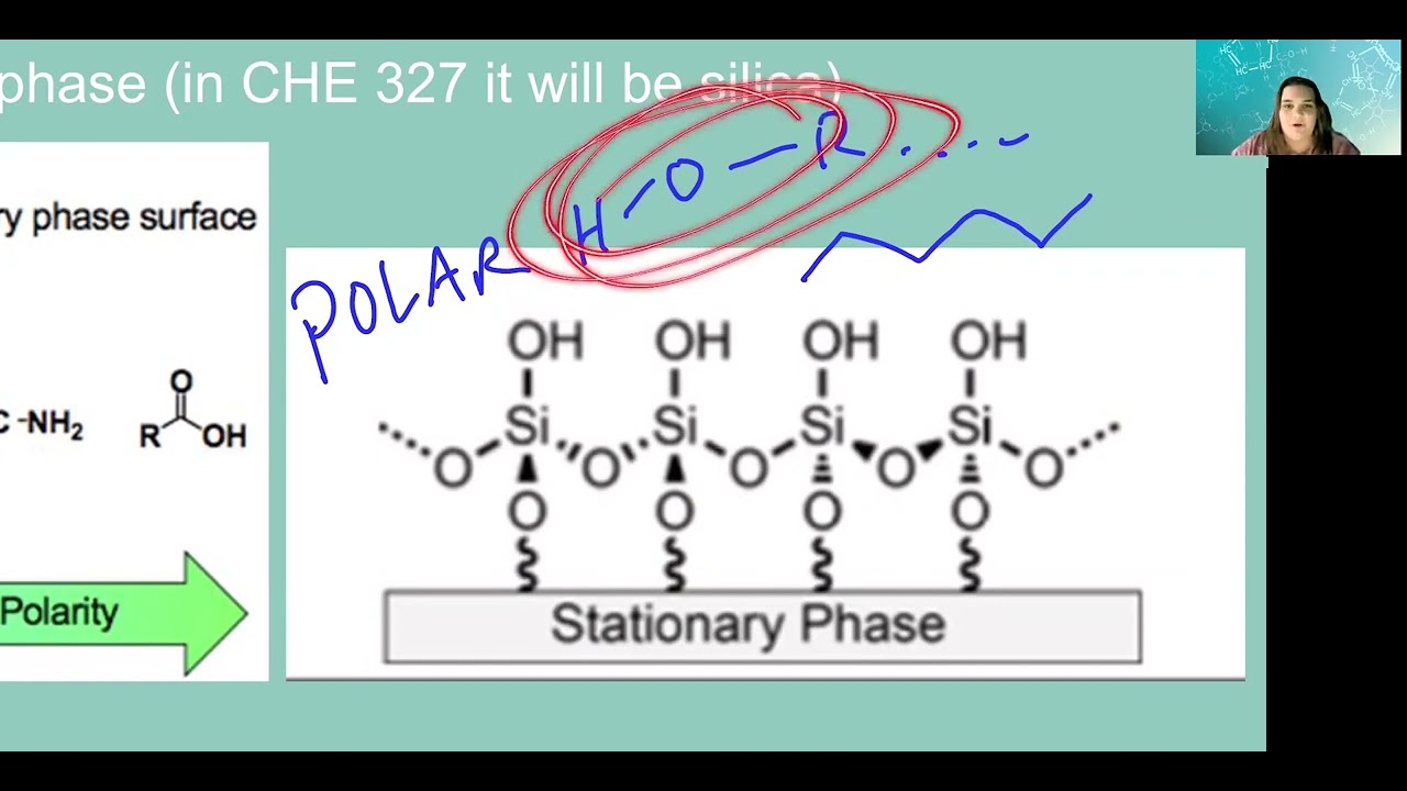 Theory Quiz #2 Review