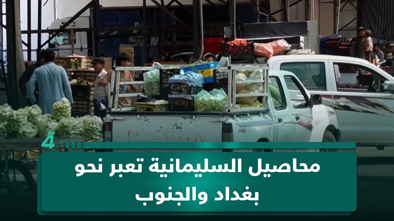 فيديو | محاصيل السليمانية تعبر نحو بغداد والجنوب.. وتسويق مشترك ينعش الزراعة
