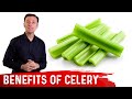Top 11 Health Benefits Of CELERY Dr Berg