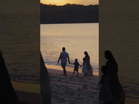 Flamingo Beach Realty video