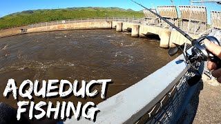 My Lucky Net?? Plusinno Floating Net | CA Aqueduct Fishing | Iu Mien Fishing