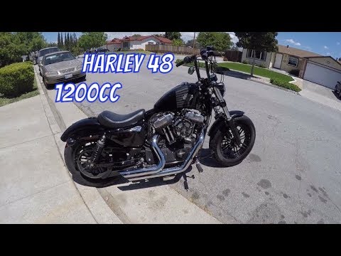 2016 Harley Davidson Sportster 48 Walk around - Vance&Hines Short Shots Exhaust!