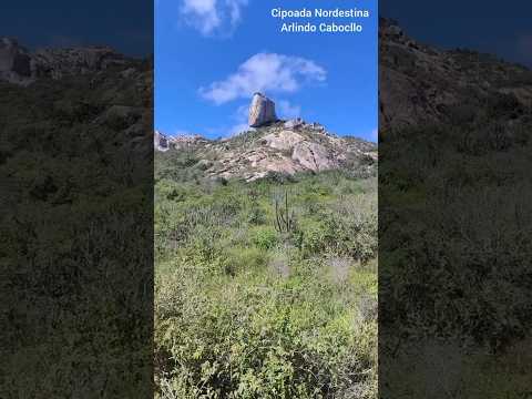 Coisas do Nordeste  - Casserengue/PB #nordeste #nordestino #nordestedversos #paraiba