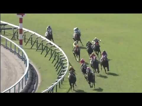2018.10.21 2yo Newcomer (JPN) - World Watch