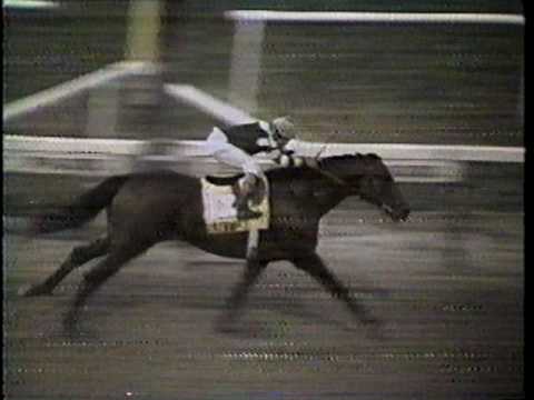 Slew o' Gold - 1984 Jockey Club Gold Cup