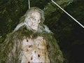 Bigfoot Is Real The Clearest Images Of Bigfoot Ever Captured