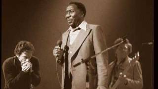 Rollin' And Tumblin' (Live) : Muddy Waters