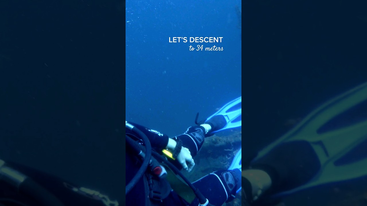 YouTube Short thumbnail