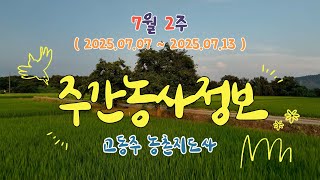 ✨주간농사정보 ] 7월 2째주 (2025. 07. 07. ~ 07. 23)