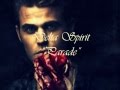 The Vampire Diaries 3x02 "The Hybrid Soundtrack ...