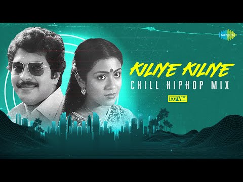Kiliye Kiliye - Chill HipHop Mix | Aa Raathri | Ilaiyaraaja | S. Janaki | DJ VIM