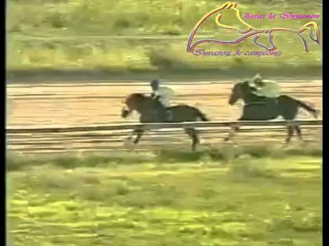 VALENCIA 10 CARRERA, VIERNES 05 DE JUNIO DEL 2015