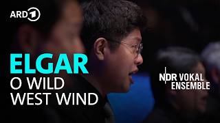Download lagu Elgar - O Wild West Wind | Simon Halsey | NDR Vokalensemble mp3