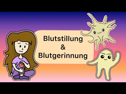 Blutstillung und Blutgerinnung