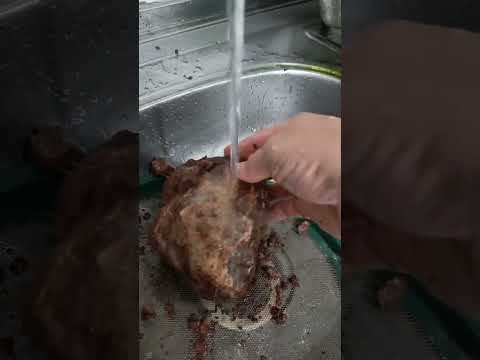 garimpo de cristal de quartzo no Rio Grande do Sul#natureza #stone #garimpo #crystals #quartz