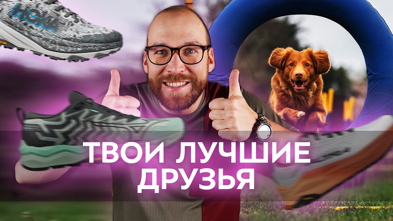 Топ 5 кроссовок для аджилити