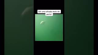 Download lagu Sereia capturada por câmera 📷🧜‍♀️ #shorts mp3