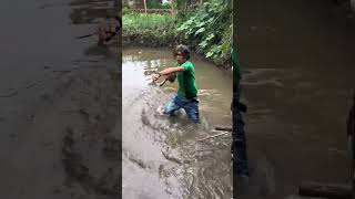 Download lagu kena taik gua #music #lucu #liriklaguindo #lagu #ngakak mp3