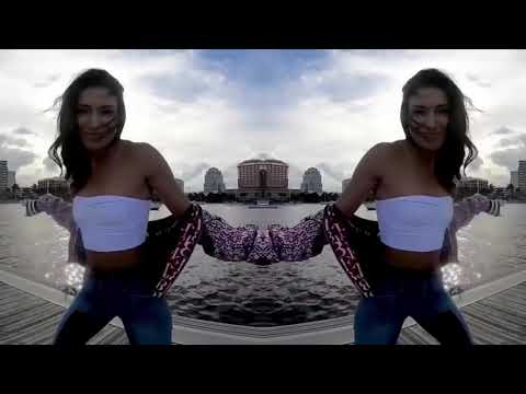 Sam Feldt - Show Me Love (Ryan Enzed Bootleg) 🎵 SHUFFLE🎵