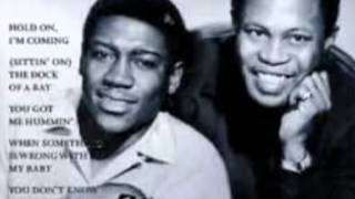 Video thumbnail of "SAM & DAVE-don't pull your love"