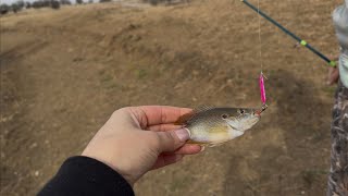 BASSDASH  Fishing Lure Kit Glowing Paint Jigs