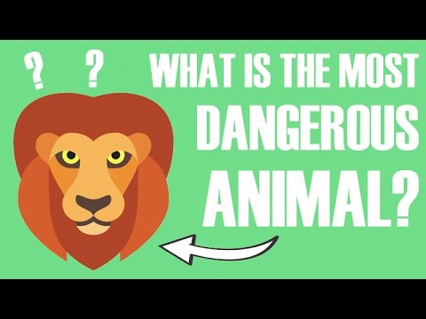WHAT ANIMAL KILLS THE MOST PEOPLE?