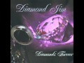 Diamond Jim - This Time