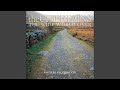 Live From Matt Molloy's Pub (from Water from the Well)