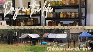 Pantry Tour & Chicken Check-In! 🐓 How We Stock Our Homestead Pantry for Winter