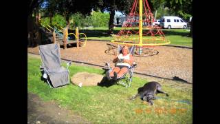 Billy Currington Like My Dog