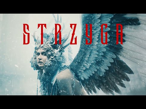 Bui Film and Justyna Jary