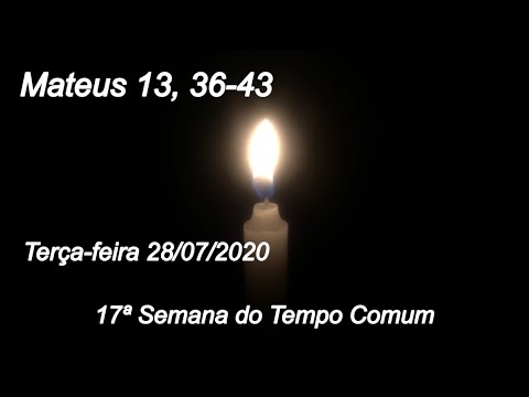 Evangelho do Dia 28/07/2020