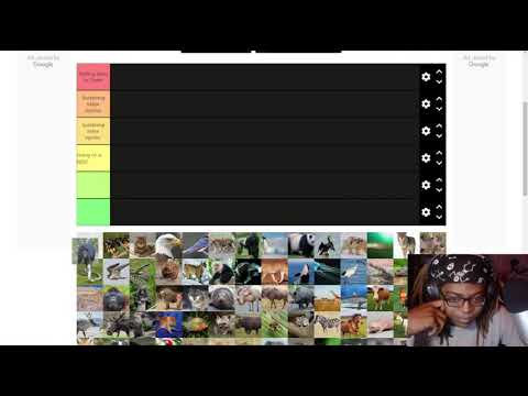(  The What Animals Could I Beat In A Fight Tier List )