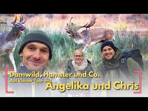 "Foto-Roadtrip" mit @ChrisKaula  & @gelikaba