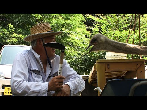 ナオトひとりっきり予告編