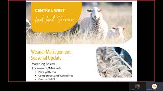 Economic and market considerations of weaner management -Geoff Duddy Sheep Solutions